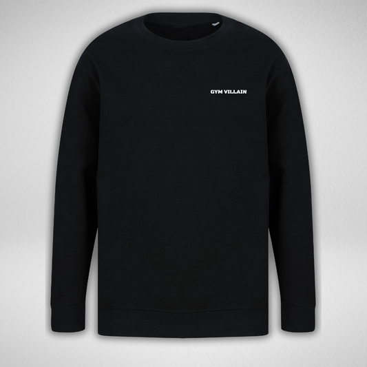 Regular Fit Sweater